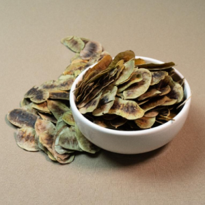 Acacia de la india